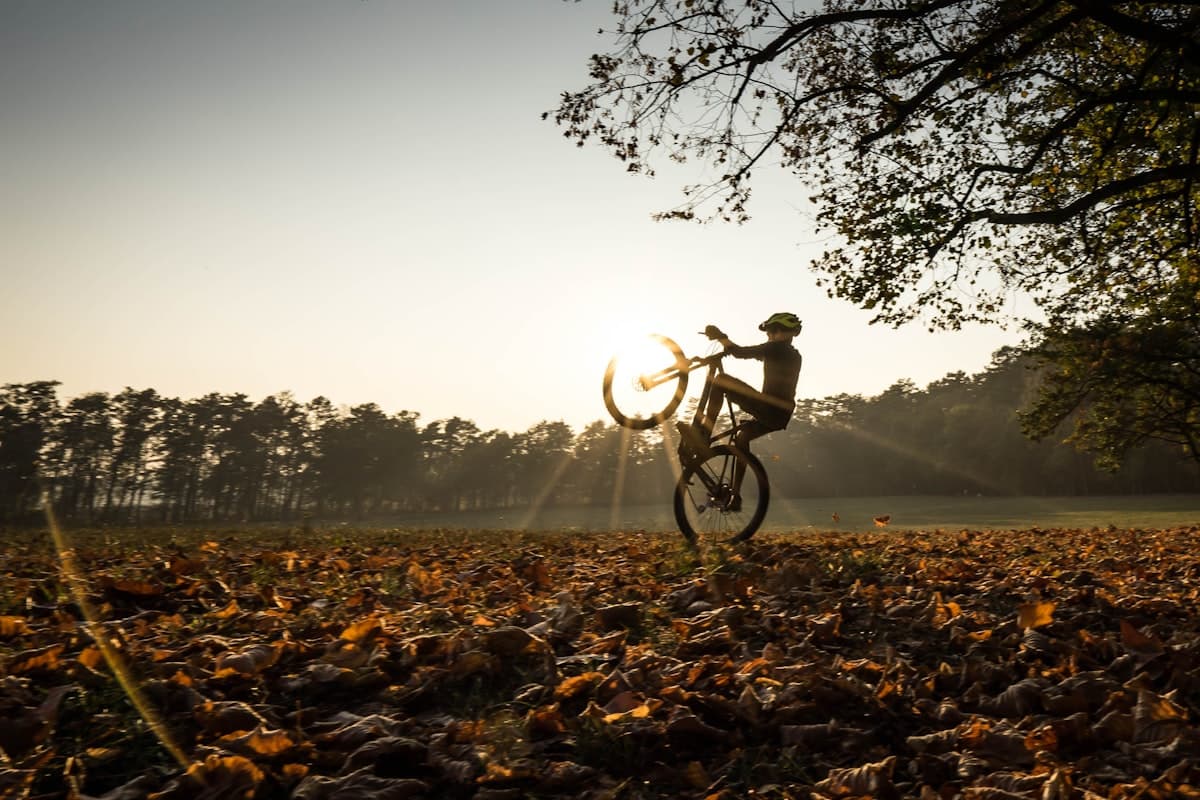 Checklist d'autunno: luci, visibilità e sicurezza in bici
