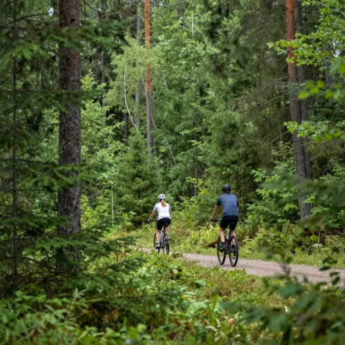 Miten Pyörärekisteri sai alkunsa